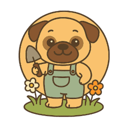Quiz Challenge Pug